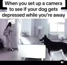 Featured post 3