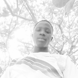 Amadou Ceesay profile image