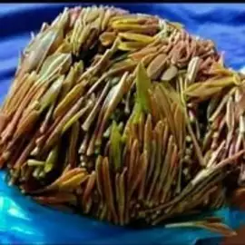اسرعنادالتعزي التعزي profile image