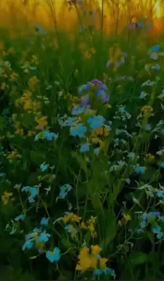 my new video #10M #amazing #art #beach #follow