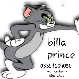 Billa Prince profile image
