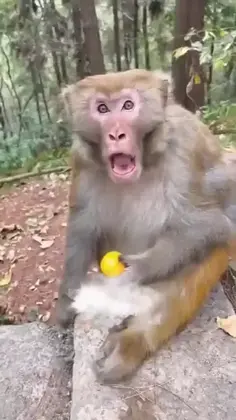 Featured post 7