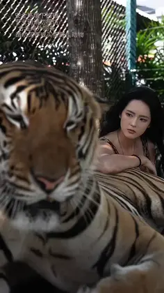 Sometimes_ conquering a beast does not require force.❤️ https://invites.waveful.app/9sfz