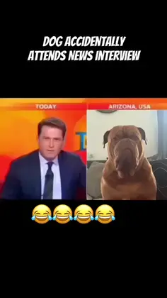 Featured post 1