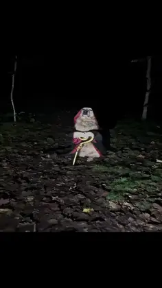 I've Been Expecting You