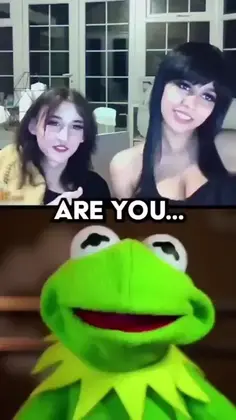 Muppets the entertainer