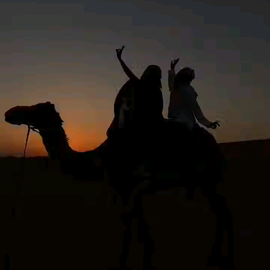 Abubakar Abdullah profile image