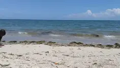 Featured post 3