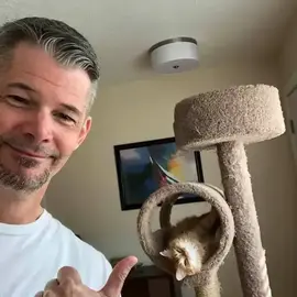 Robert William profile image