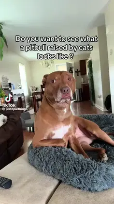 Featured post 5