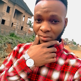 Lowo Samuel profile image