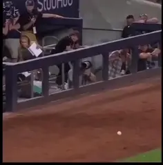 Best Baseball Catch Ever