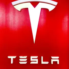 Elon musk tesla profile image