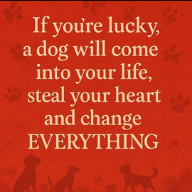 @KnottingSandra3008 profile image