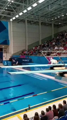 Cat Diving Olympics