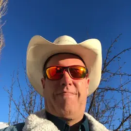Chris Todd profile image