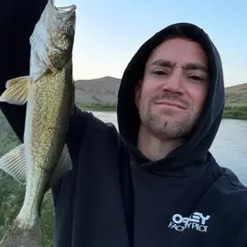 Tyler Thomas profile image