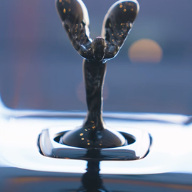 Spyder Shaik profile image