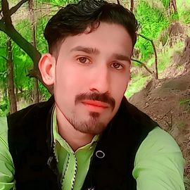 Malilzubair Zubair profile image