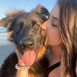 Artofzoo profile image