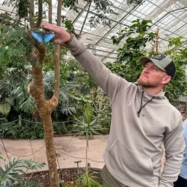 Nicholas Williams profile image