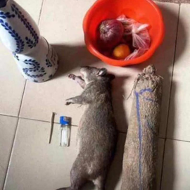 ETHAN PATEL profile image