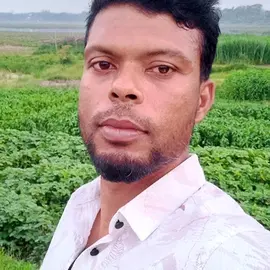 Tofazzal Hussain profile image