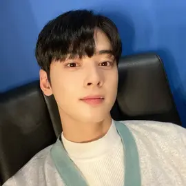 cha eunwoo profile image