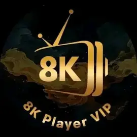 8K player Vip profile image