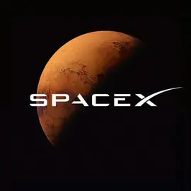 Elon Musk profile image