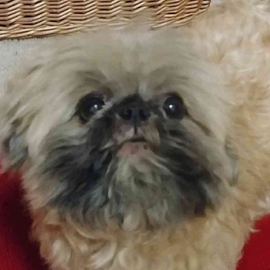 Zarina E profile image