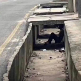 Last Bron profile image