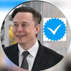 Creator avatar