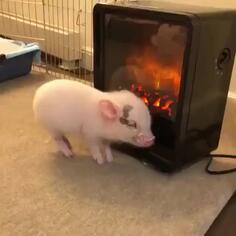 Staying Warm In The Winter