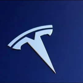 tesla96 profile image