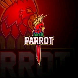Fly paradise profile image