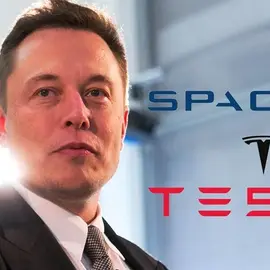 Elon Musk profile image