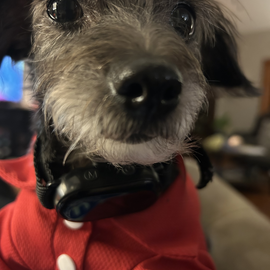 Rick Lowe profile image