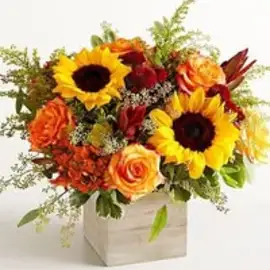 রাগি মহারাজের ছোট্ট রানি profile image