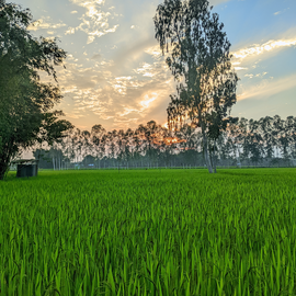 Mostak Khan profile image