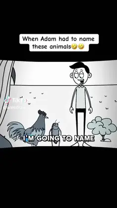 Featured post 2