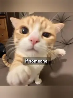 Featured post 3