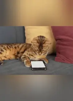 Featured post 1