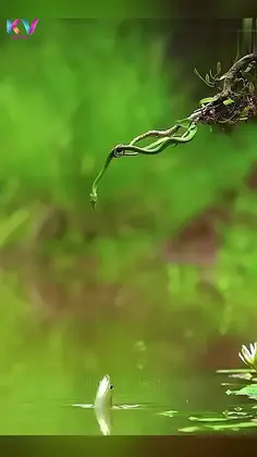 Featured post 3