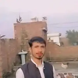 Aurangzeb Ali 8 profile image