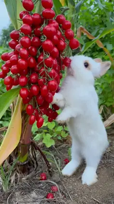 Featured post 1