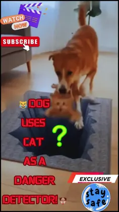 Featured post 1