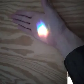 human seraphim profile image