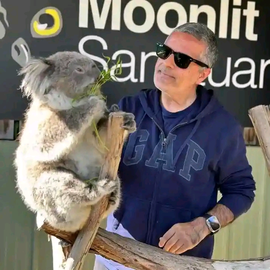 Scott James profile image