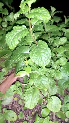 Featured post 2